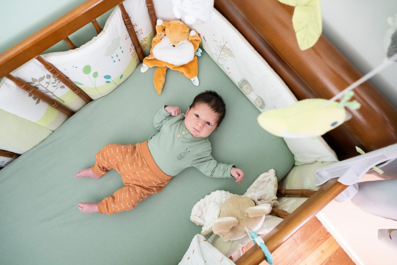 photo bébé photo studio bébé photo studio nouveau-né photo bébé esvres photo bébé tours